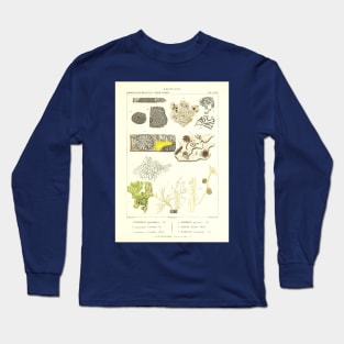 Lichen  - Essai sur les cryptogames - Botanical Illustration Long Sleeve T-Shirt